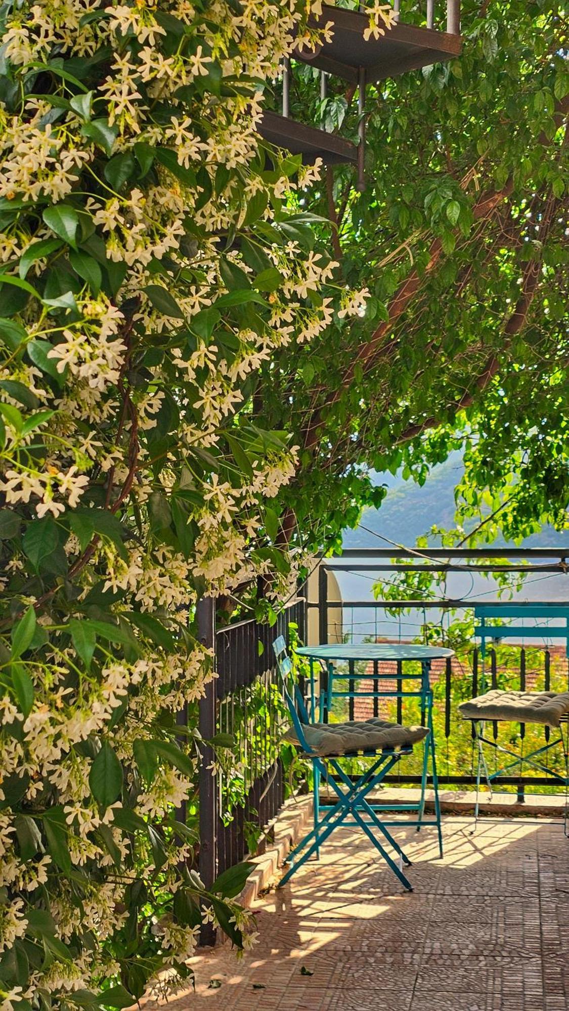 Apartment Mint&Rose Risan Kültér fotó